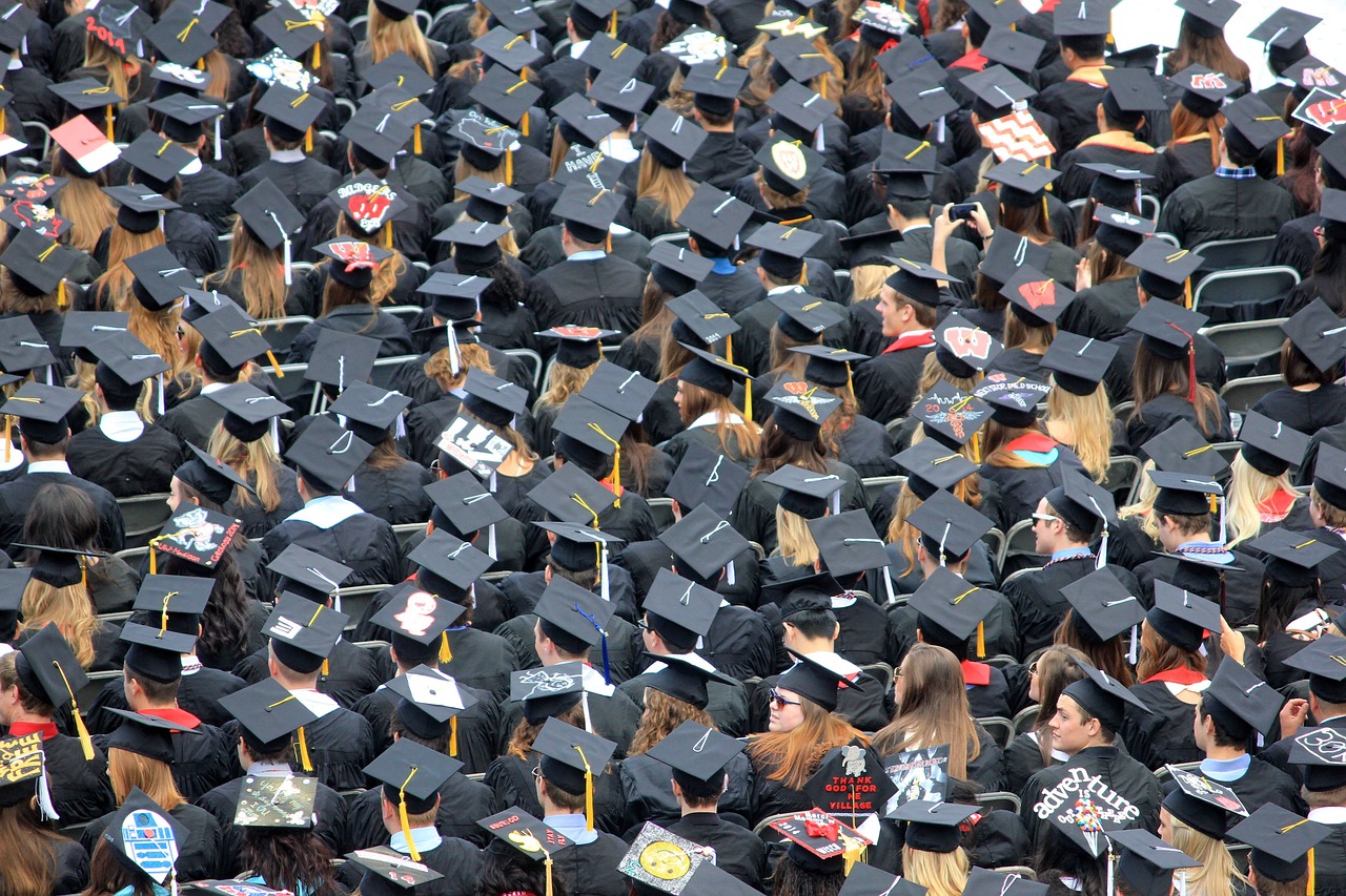 东北财经大学毕业生就业情况分析东北财经大学就业怎么样知乎  第1张